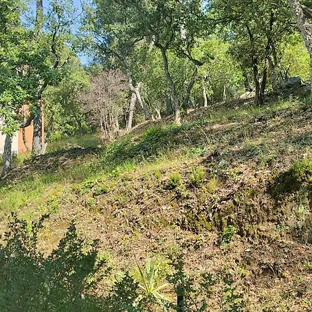 T4 Agreable Corniche